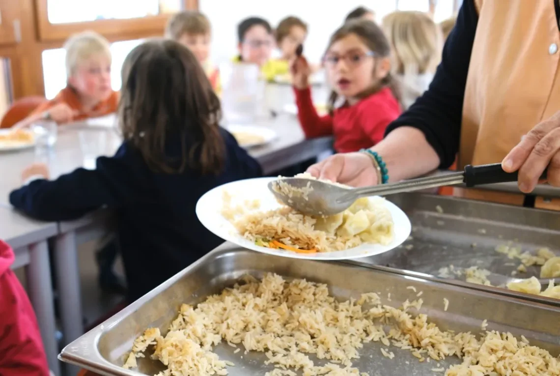Nowa, obowiązkowa dieta w szkołach i przedszkolach. Prof. Cichosz: to działanie na szkodę zdrowia publicznego