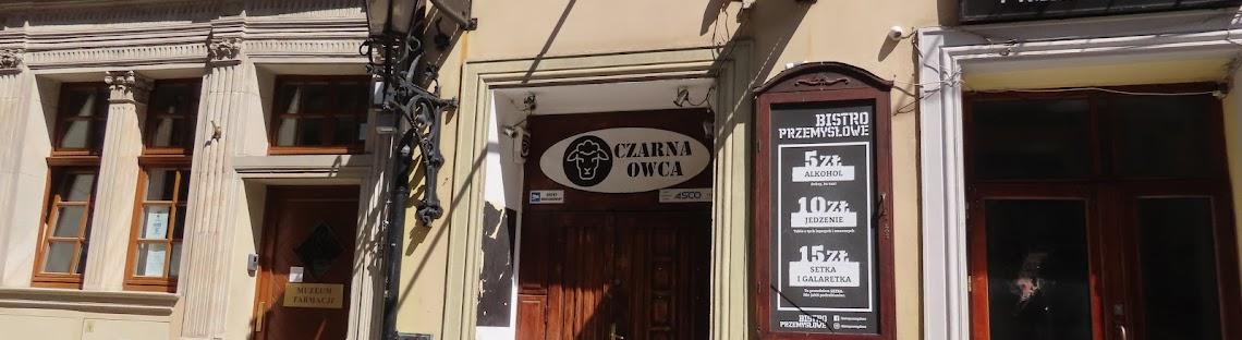 Czarna Owca