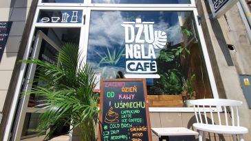 Dżungla Cafe