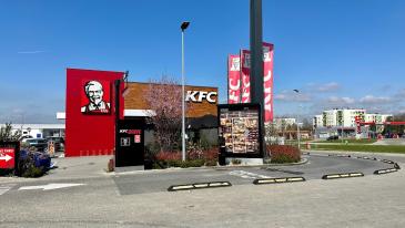 KFC Kielce Szajnowicza