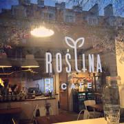 Roślina Cafe