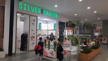 Silver Dragon