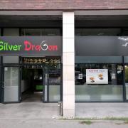 Silver Dragon