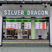 Silver dragon